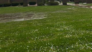  West Carroll superintendent addresses students, families after students witness tornado in Lena  