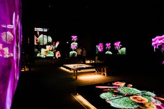 The Sonoran Desert teems with wildlife. These 3D scans could help protect its future