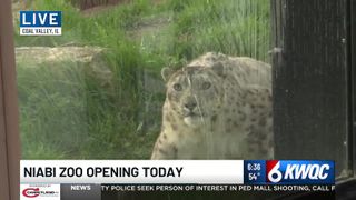  Niabi Zoo kicks off 2026 season with new attractions, renovated exhibits