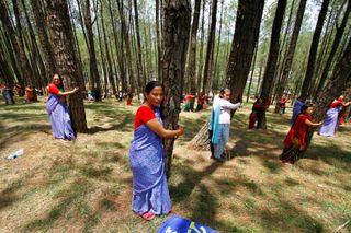 From the Himalayas to Newt Gingrich, the 'tree-huggers' prevail