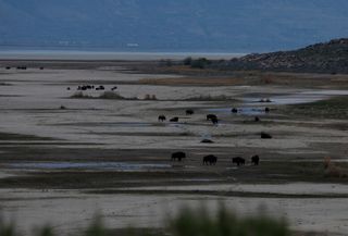Why Trump wants to spend $1 billion on Great Salt Lake