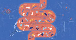 Scientists search the microbiome for clues to the rise in colorectal cancers