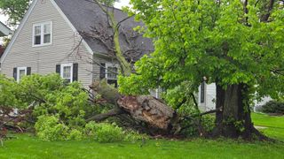 Large part of tree falls on house in Rock Island