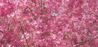 Quiet weather settles in for the rest of the week