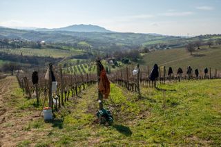 RFK Jr. wants to treat addiction by creating wellness farms. Does it work?