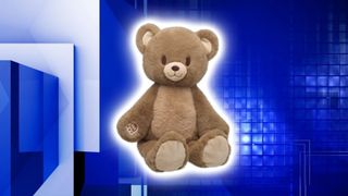 Build-A-Bear recalls 36K Heartwarming Hugs Bears stuffed animals due to choking hazard
