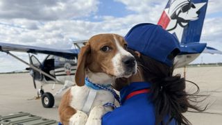 Animal Rescue League of Iowa prepares to take in beagles saved from Ridglan Farms
