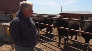  Iowa family farms are disappearing. One farmer has a plan to save his.
