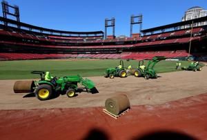 Busch Stadium gets all new grass, installed by a Quad-Cities company