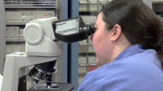 Learn about a future in health care at the UnityPoint Health Career Exploration Day