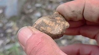 The Heart of the Story: A pursuit of history