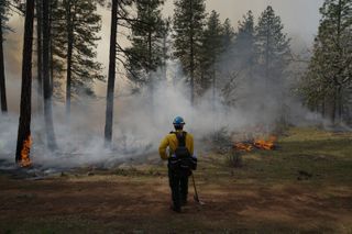 New burn bans and Trump's battle with immigration and DEI are impacting forest fires