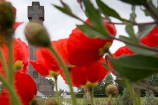 Moline will honor veterans with National Poppy Day