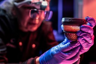 To revive an extinct bird, you first need an artificial egg