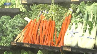 Hammond-Henry dietitian: helping admitted and outpatient clients