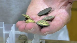 The Heart of the Story: Treasure hunting