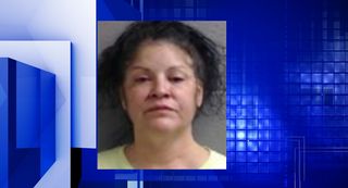 Sterling Police seek arson suspect