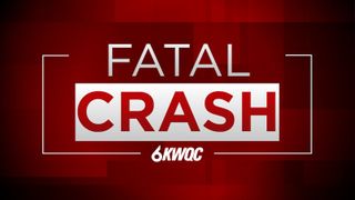  2 dead after UTV crash