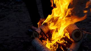  Iowa DNR shares firewood reminders to protect the state’s forests