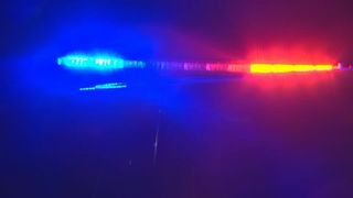  Skeletal remains found in park identified as man missing since 2022