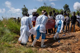 How Ebola kills -- and what it takes to stop it