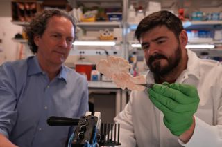 A science powerhouse bets on genetic therapy to beat brain disorders