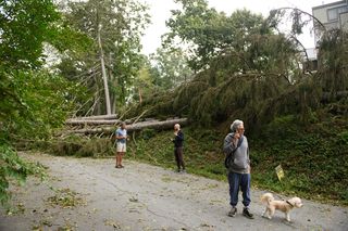 How cellphone carriers prepare for hurricane season with AI, drones and 'cows'