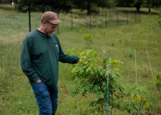 The Forest Service says it's closing offices to cut costs. But the math doesn't add up