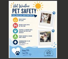 QC Animal Welfare, Milan, gives tips on pet care during extremely hot weather