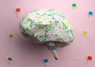 Socioeconomic factors are becoming 'biologically embedded' in children's brains
