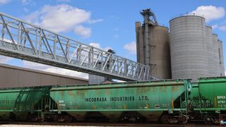  Illinois bets on biodiesel: Expanding the market for domestic soybeans 