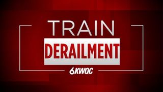  Multiple train cars on ground after derailment near Ormonde 