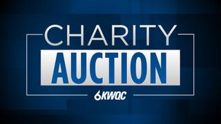  Online auction company hosting charity auction for Foster’s Voice