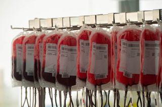ImpactLife stresses importance of transfusions for sickle cell disease