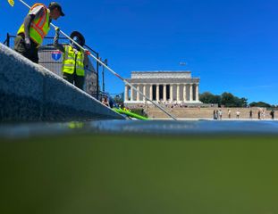 How and why algae clouded Trump's vision for an 'American flag blue' Reflecting Pool