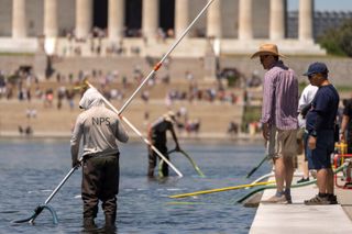 Trump claims vandals damaged D.C. Reflecting Pool, and says it will be drained again