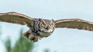 The Heart of the Story: A wild look at nature