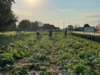 Tapestry Farms hosting summer breakfast in the garden series highlighting area growers