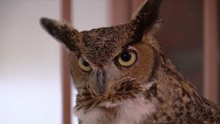 Bi-CAN hosts 2026 BioBlitz at Wapsi River Environmental Education Center