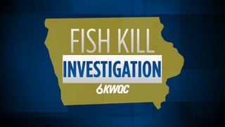  Diluted pesticide spill in Lee County creek leads to fish kill