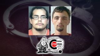 Have you seen these suspects? Crime Stoppers wants to know!