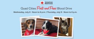 Donors needed for QC Pints and Paws blood drive