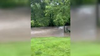  Cleaning up after a flood? Here’s what you need to know