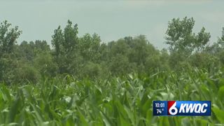  Maquoketa leaders share plans and power safeguards for potential data center