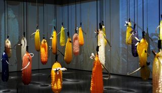 Exhibitions at Figge Art Museum, Davenport, explore American identity
