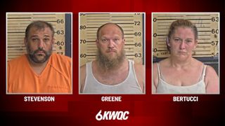  3 Hanover residents arrested following overnight narcotics raid in Jo Daviess County