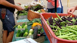Eligible Illinois seniors to get help buying farmers' market produce
