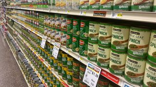  Reynolds expresses hope for federal appeal of SNAP ‘unhealthy’ food restrictions