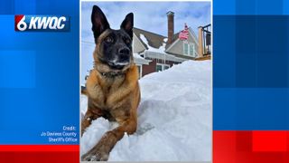  ‘Your watch is over’: Jo Daviess deputies mourn K-9 Sam
