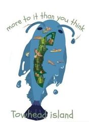 Muscatine's SPARK! students design logo for Towhead Island